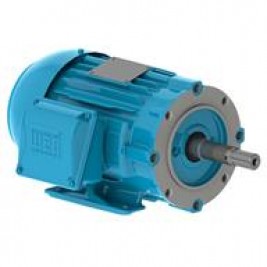 Motores para Bombas Monoblock